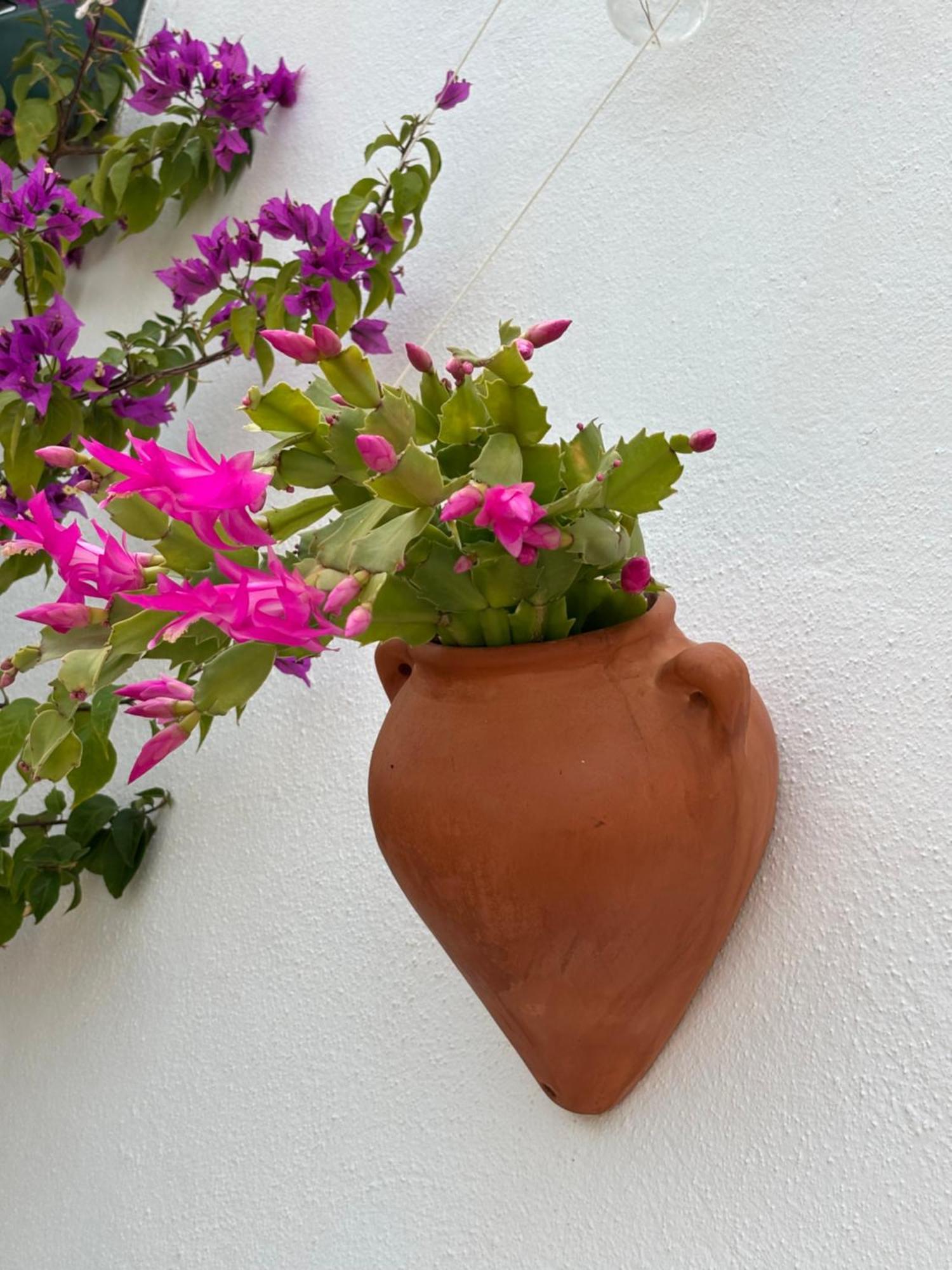 Casa Alta B&B Torrox Buitenkant foto